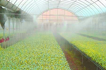 15231779361563.jpg 11.jpg